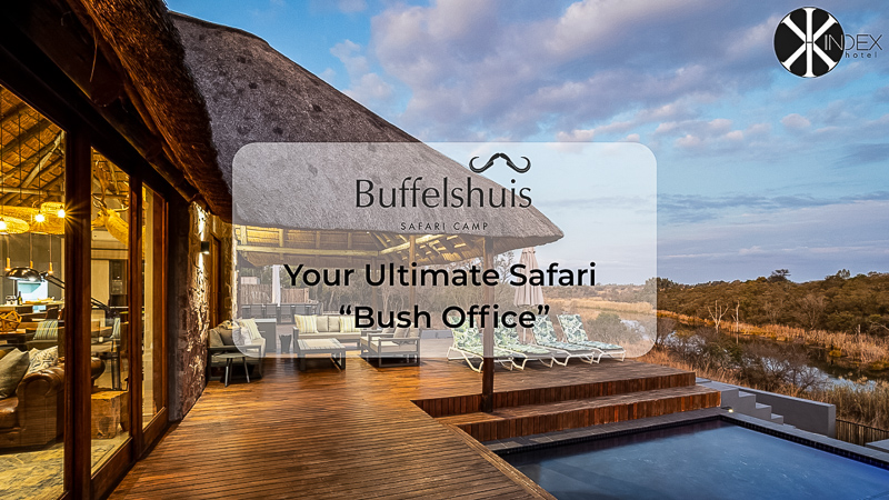 Buffelshuis. Your Ultimate Safari “Bush Office”