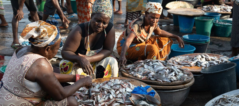 Fish Vendors at a Coastal Market