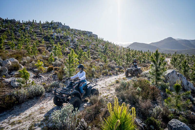 Trail's End Adventure Hotel, Grabouw, Western Cape